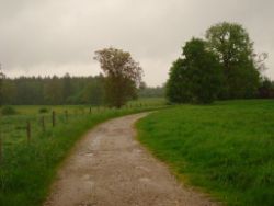2013-05-19_Iffeldorf_Aiderbichl (22).JPG